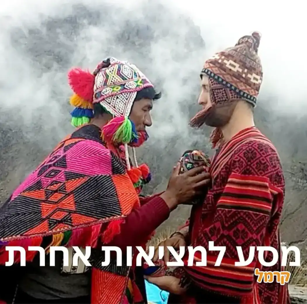 דניאל טלר