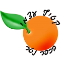 לוגו קטיף בכפר נטר