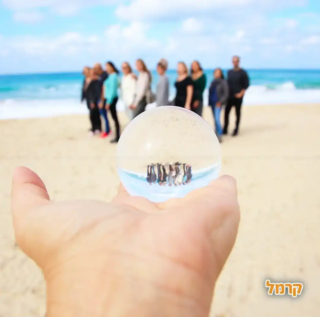 שירלי רוזנס