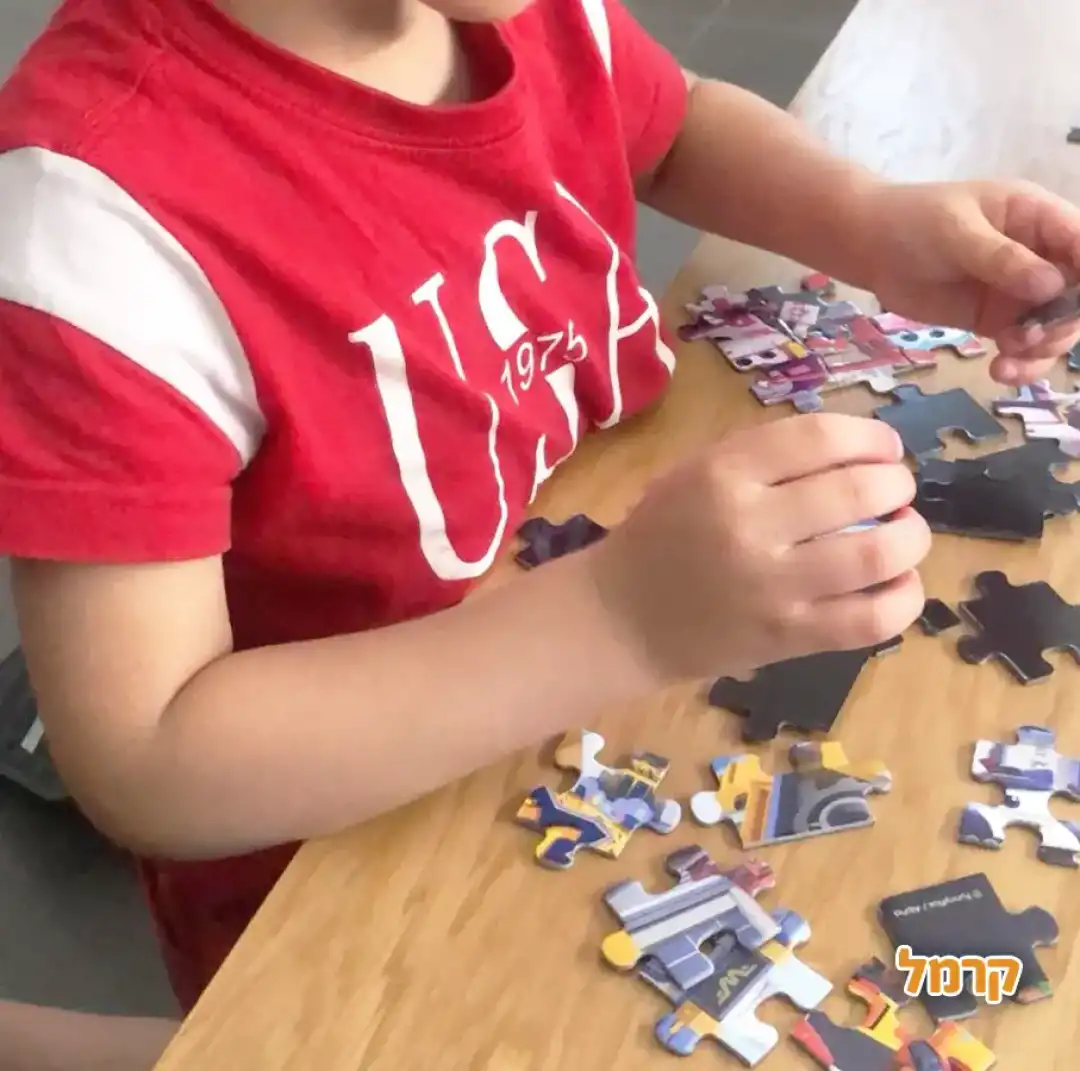 משחקי קופסא, פאזלים ועוד