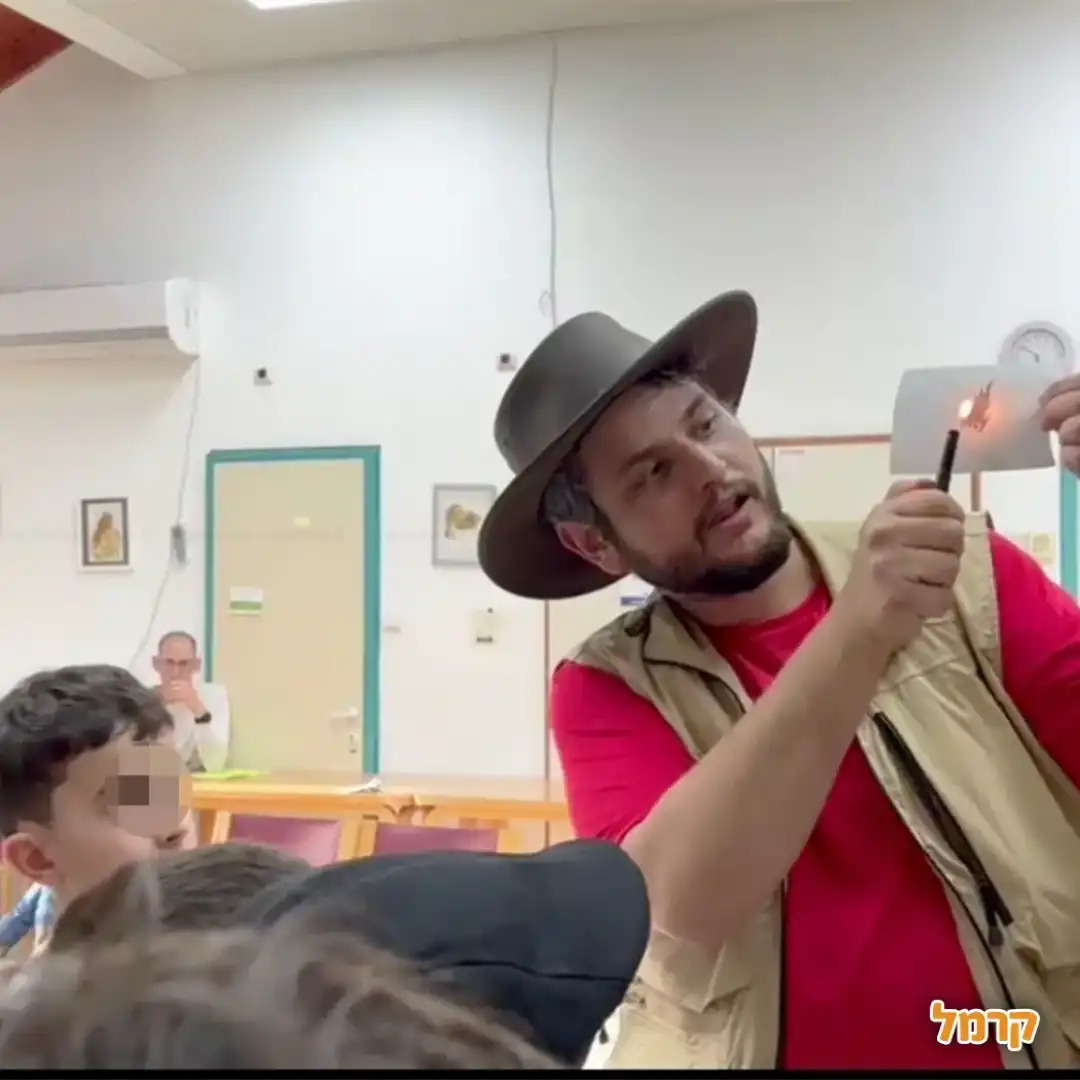 בלשולדת