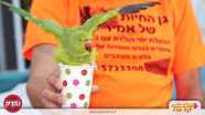 גן החיות של אמיר - 073-7581909