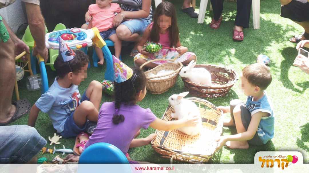 חיות וחוויות