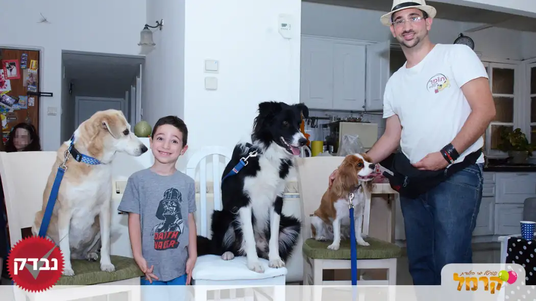 עולם הכלבים של תומר