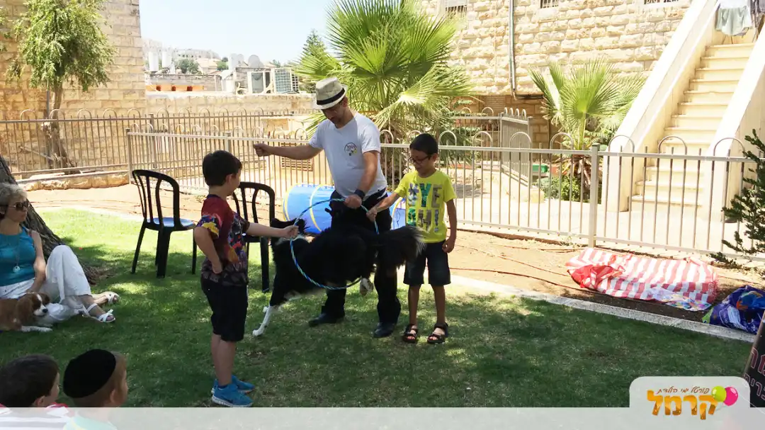 עולם הכלבים של תומר