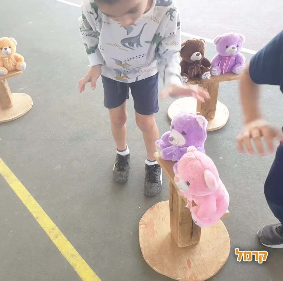 פיגוזיאדה  - 073-7585016