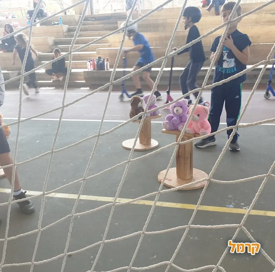 פיגוזיאדה  - 073-7585016