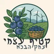 שובר כניסה יחיד - אוכמניות עמק הבכא