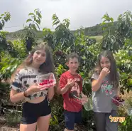 שובר כניסה יחיד