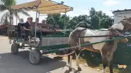 שובר יחיד מוזל לטיול במרכבה של החווה